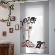 Impresión digital animales Personaliza tus cortinas con tus animales preferidos.